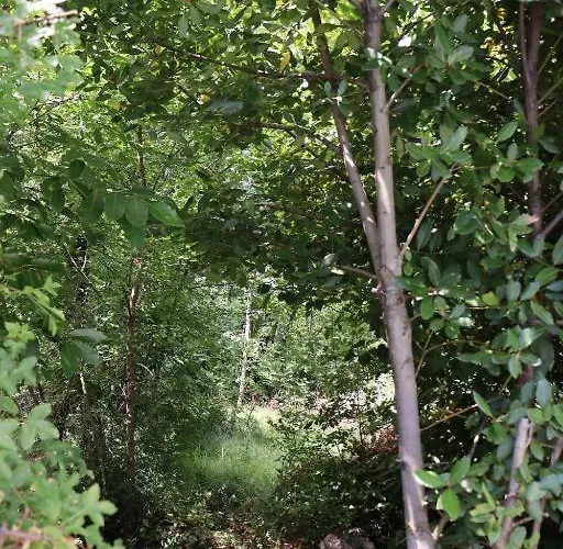 Desire Prázdninový dům